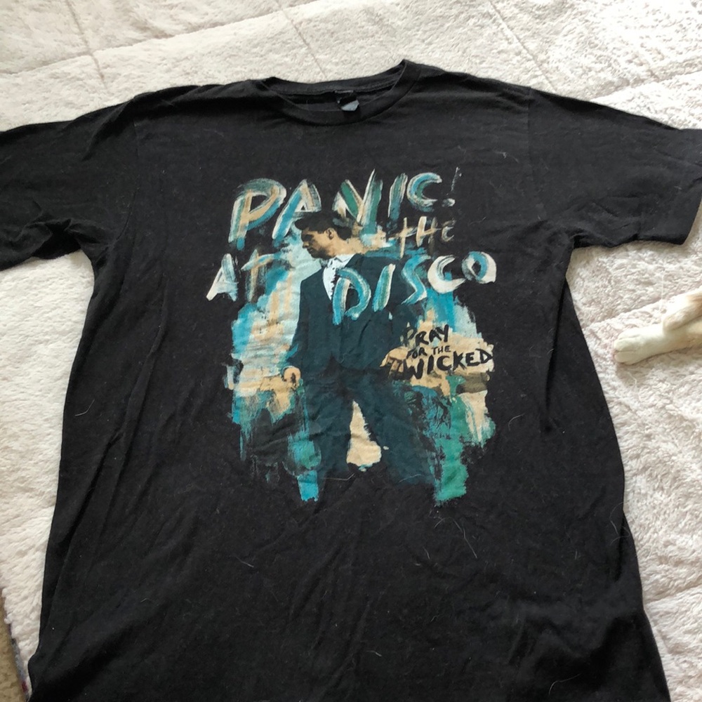 Panic at the disco concert T